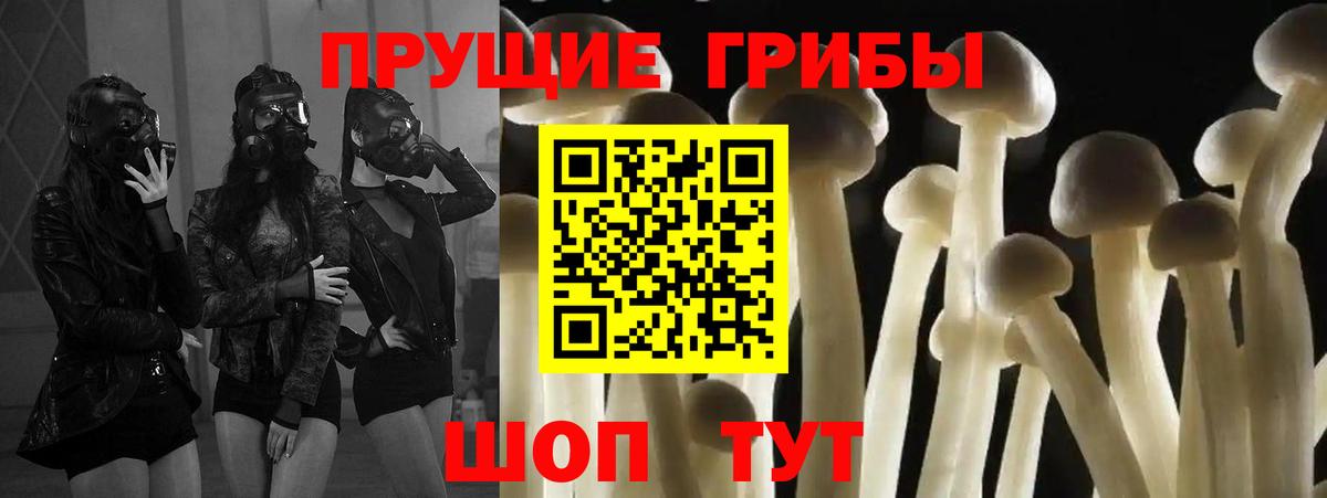 Псилоцибиновые грибы GOLDEN TEACHER  Псилоцибиновые грибы Cubensis  Вход с VPN  Гусев 