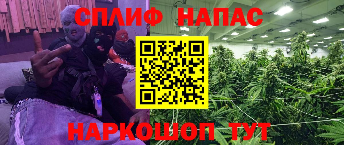 Конопля тримм  Каннабис Ganja  Гусев  Бошки Шишки Amnesia  Вход с VPN  Бошки марихуана гибрид 